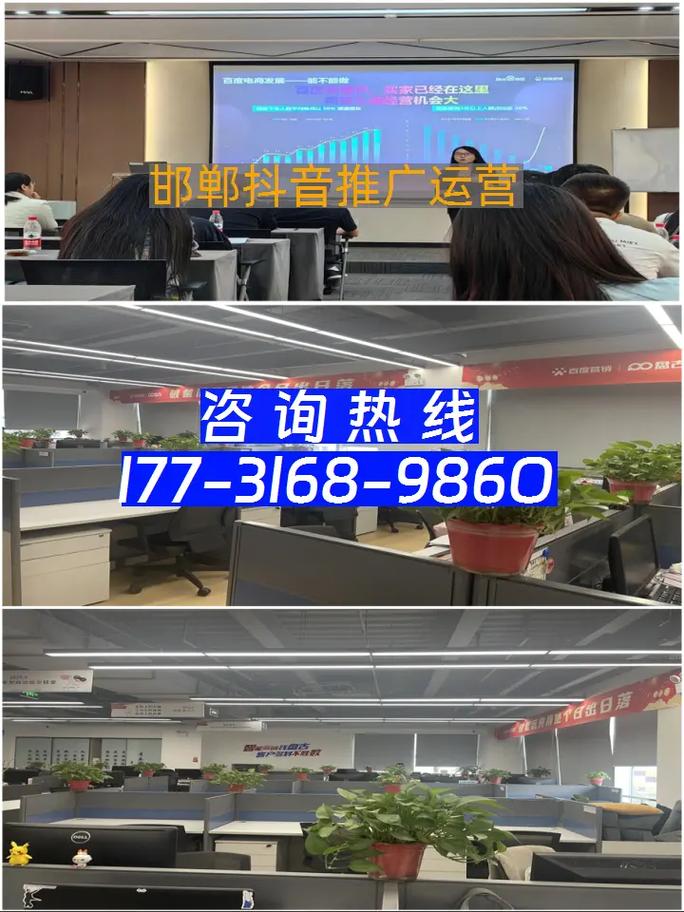 邯郸网络推广哪儿能做