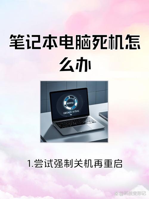 电脑死机，手提电脑无线上网，解决方法与原因分析