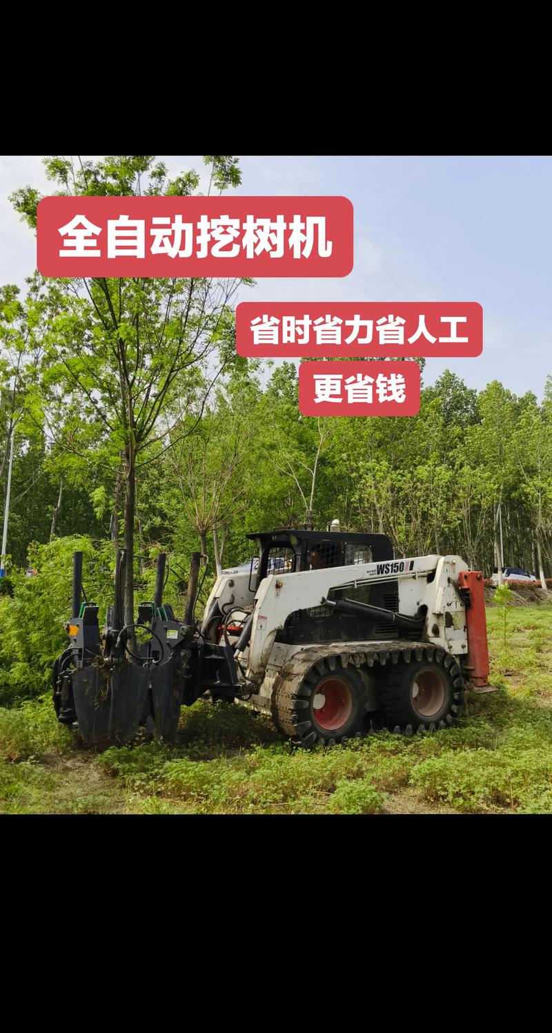 苗木网站，打造现代园林的高效工具