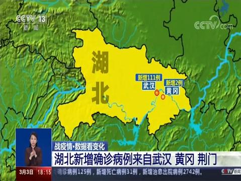 实时疫情数据，武汉疫情最新动态解析