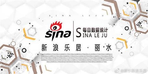 丽水网络公司,市场价值与成功秘诀