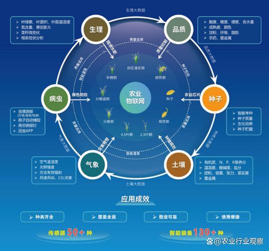 厦门strong云网络,助力您的网络发展,选择我们,就选强云