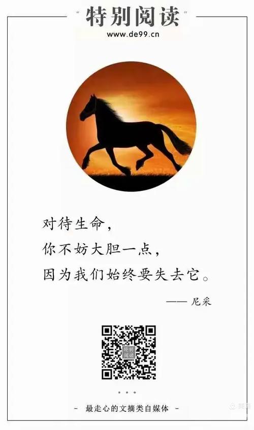 建站小故事，一个自媒体作者的深思熟虑
