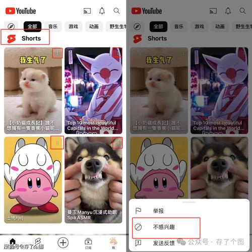 24小时订单满减免费，ks免费业务和平附加，YouTube推荐中的隐藏力量