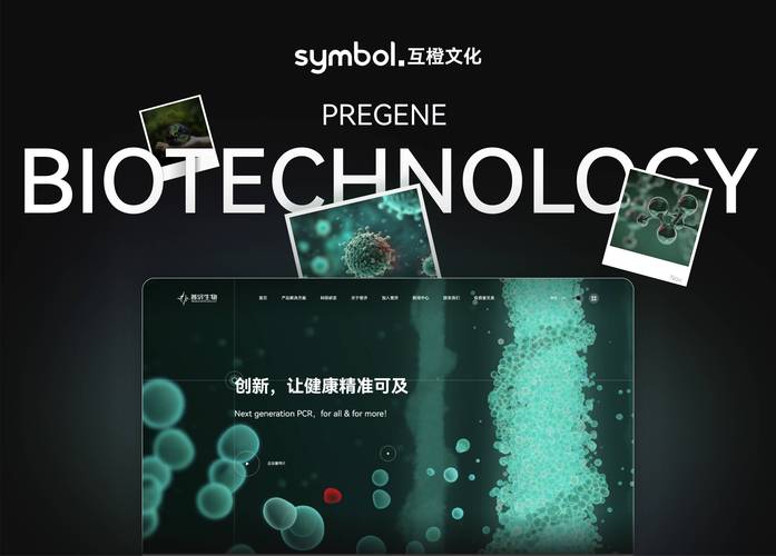 上海网站建设咨询，助力企业数字化转型