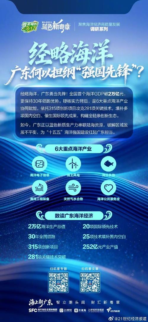 湛江市网络发展，机遇与挑战