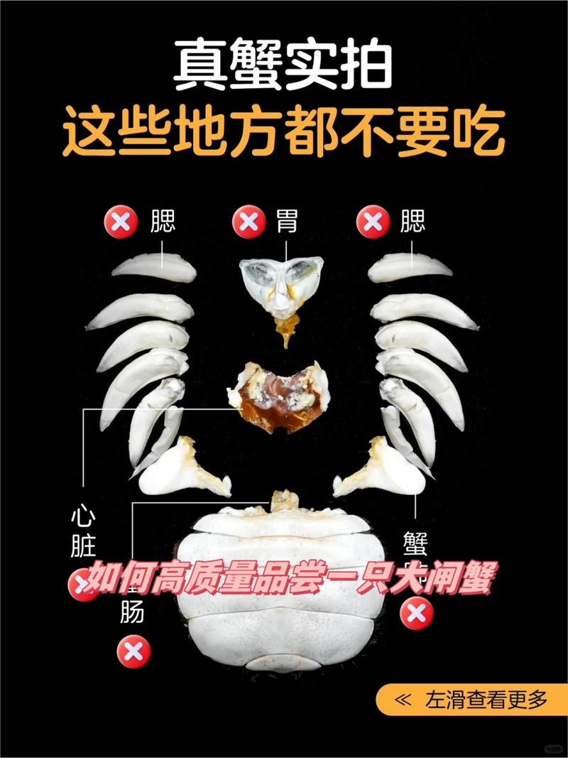 如何构建高质量的食频道