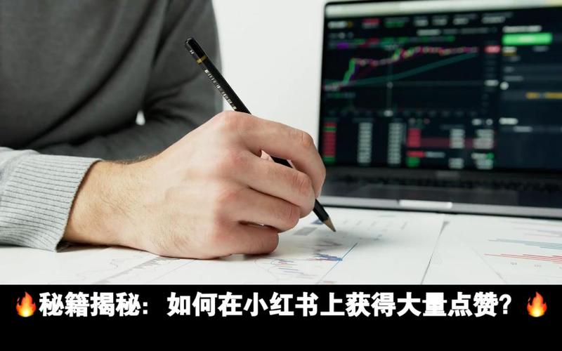 一、自助赞平台的现状与发展