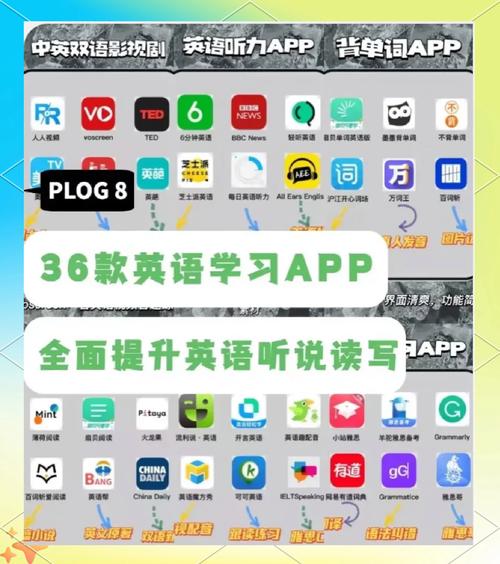 电脑软件推荐，提升英语流利度的必备工具