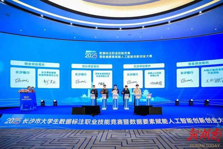 长沙网络机构，机遇与挑战