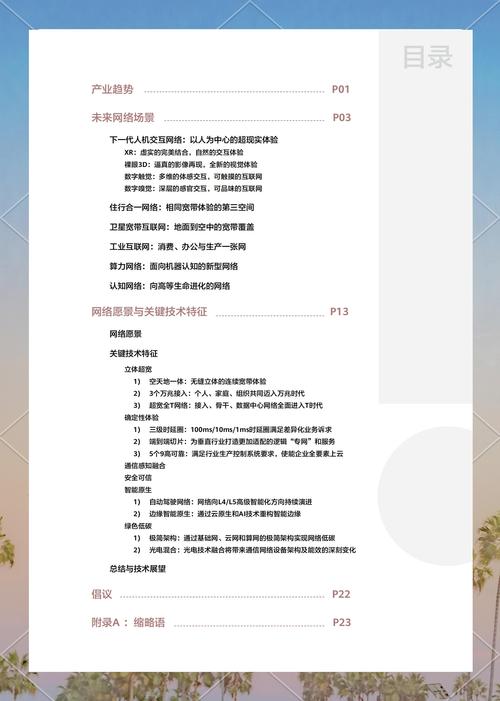 政府网络设计，从透明到开放的未来