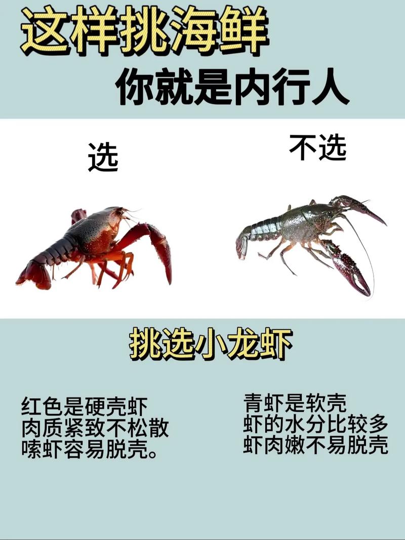 为什么粉丝抢信息 那么快？你知道这些问题背后的原因吗？