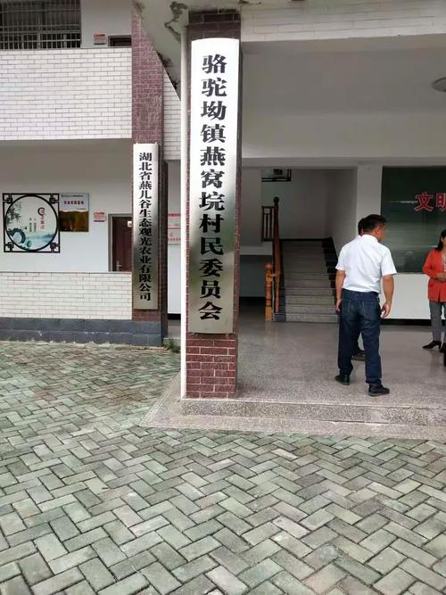 罗田网络推广公司哪家好？