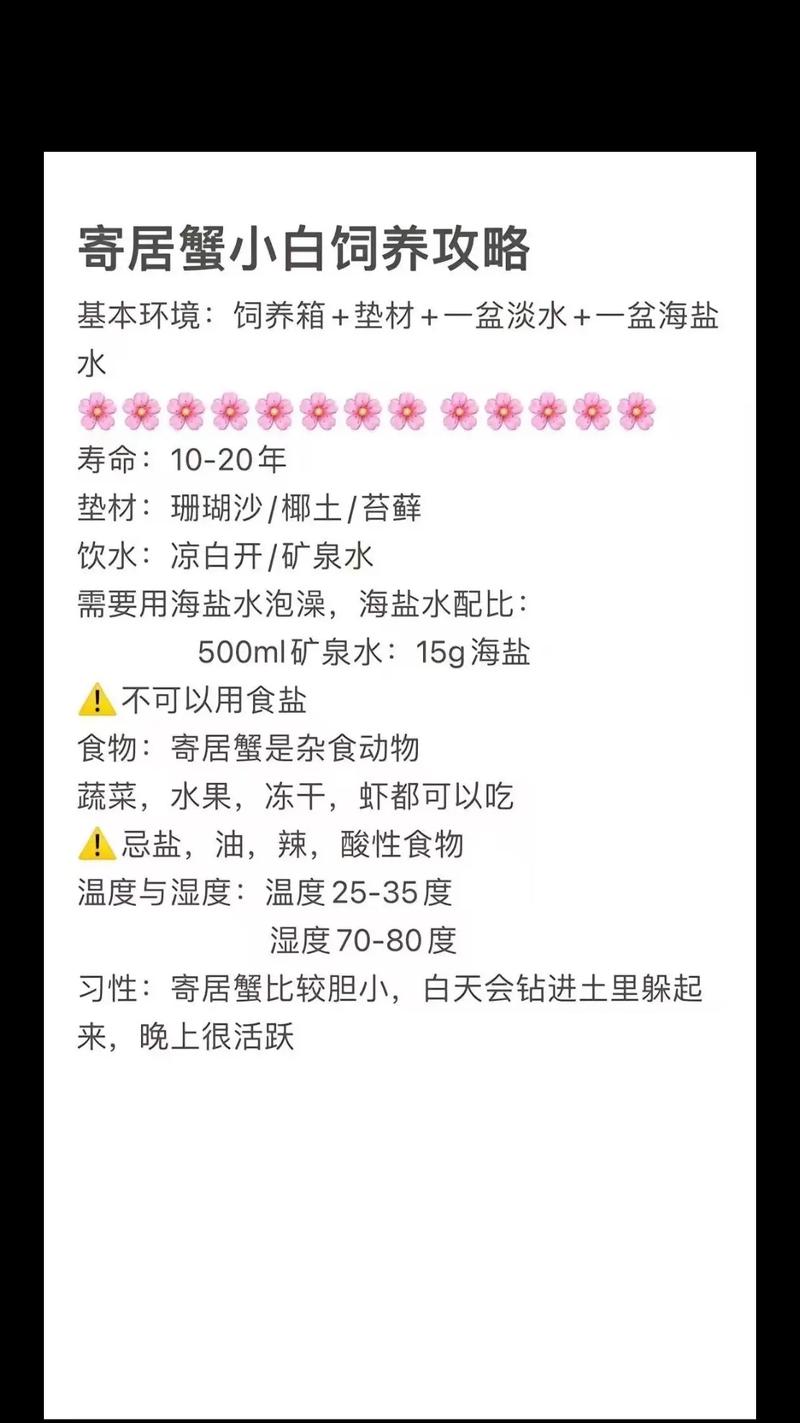 寄居蟹，利用抖音和快手的流量获取高收益的解决方案