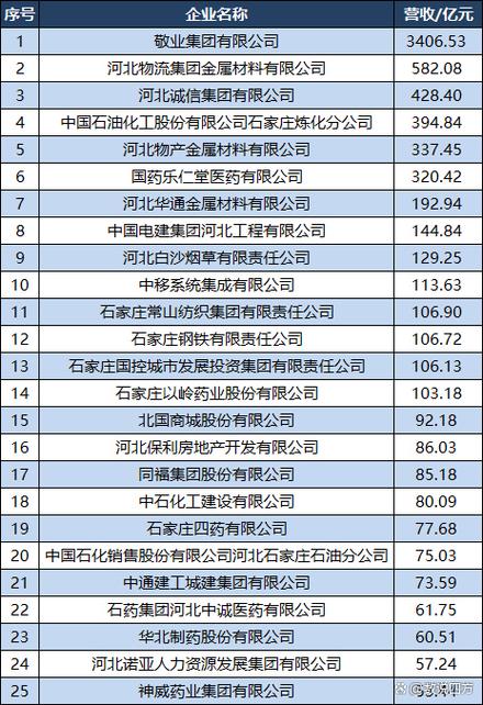 石家庄有哪些网络公司？它们各有何特点？