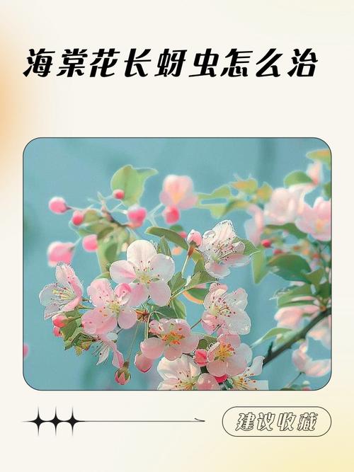 蚜虫疫情最新消息，抗虫措施与未来预测
