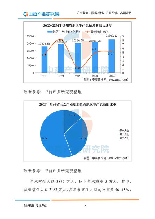 贵州网络发展现状与未来展望