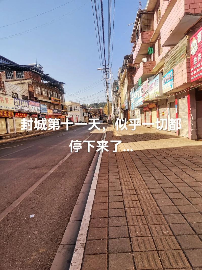 中强小区疫情最新动态，封城、物资供应和防疫措施