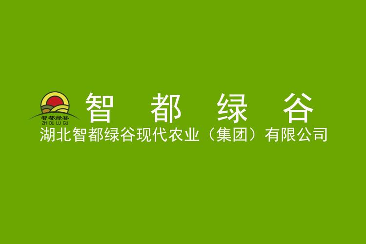 襄阳，网络公司之都，你值得信赖！