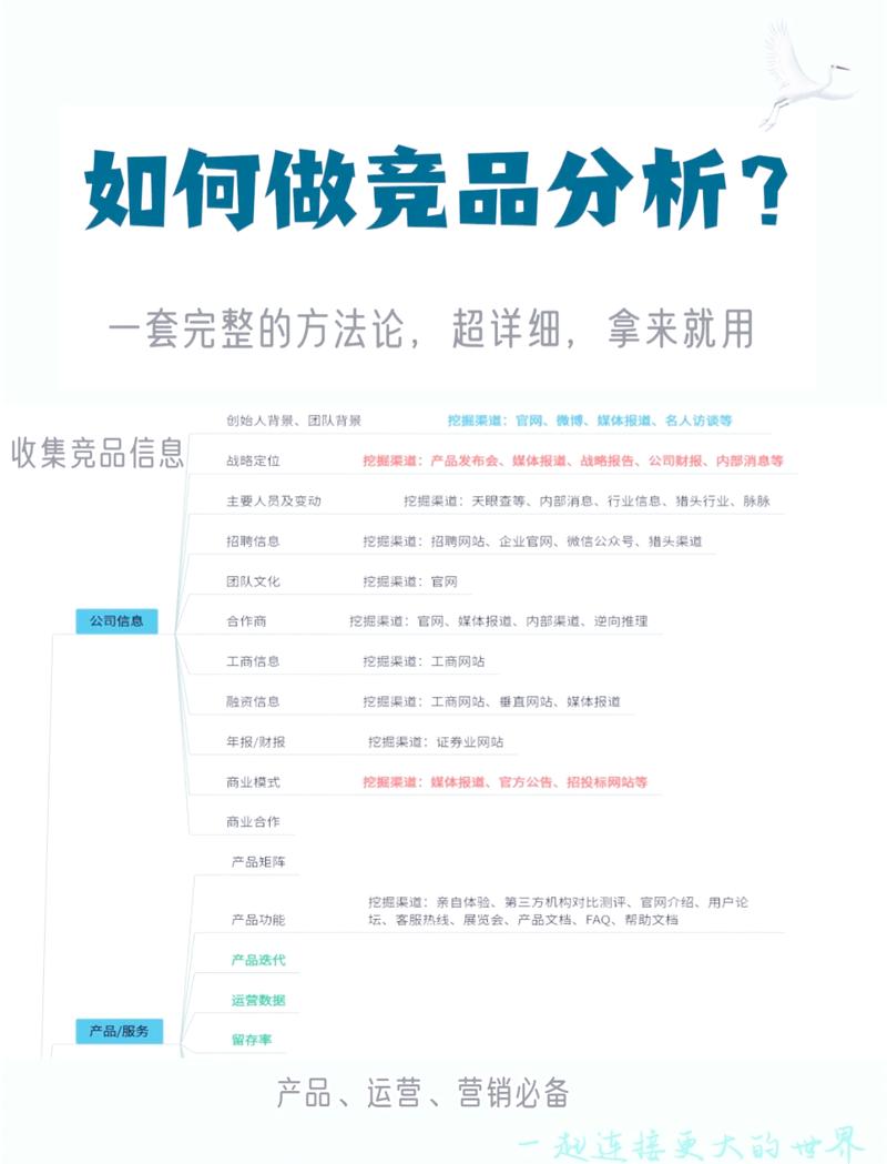 如何利用网络流行词699提升产品竞争力，从定义到应用的全面解析