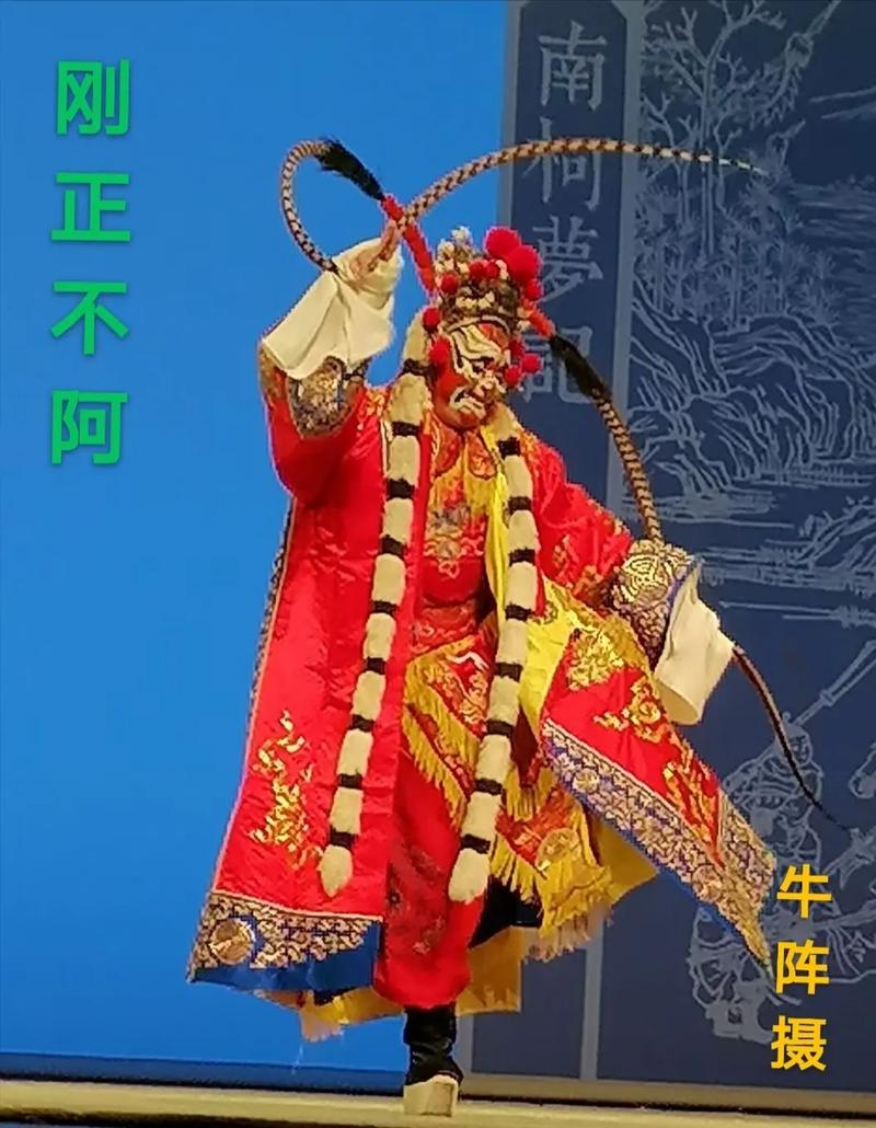 南柯抖音代,让dy赞网更上一层楼