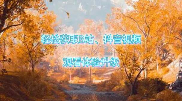 限时优惠，抖音24小时自助平台限时上线，让你轻松获取更多内容