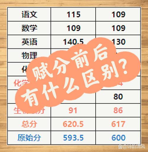 高效刷分优化，从基础到巅峰
