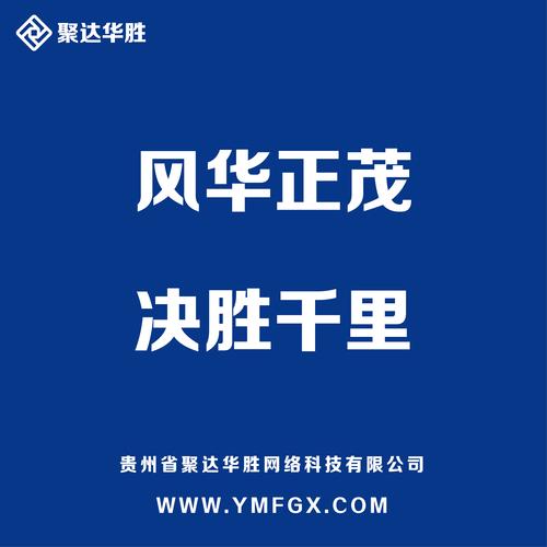 海北网络公司，选择的决定
