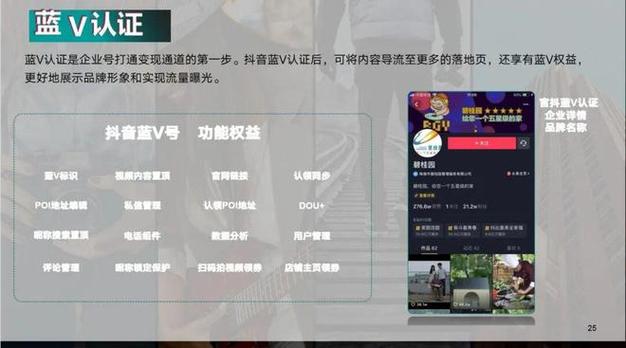 如何在抖音上实现双击真人和dy抖音业务代理？从dea到计划再到执行，一步步来