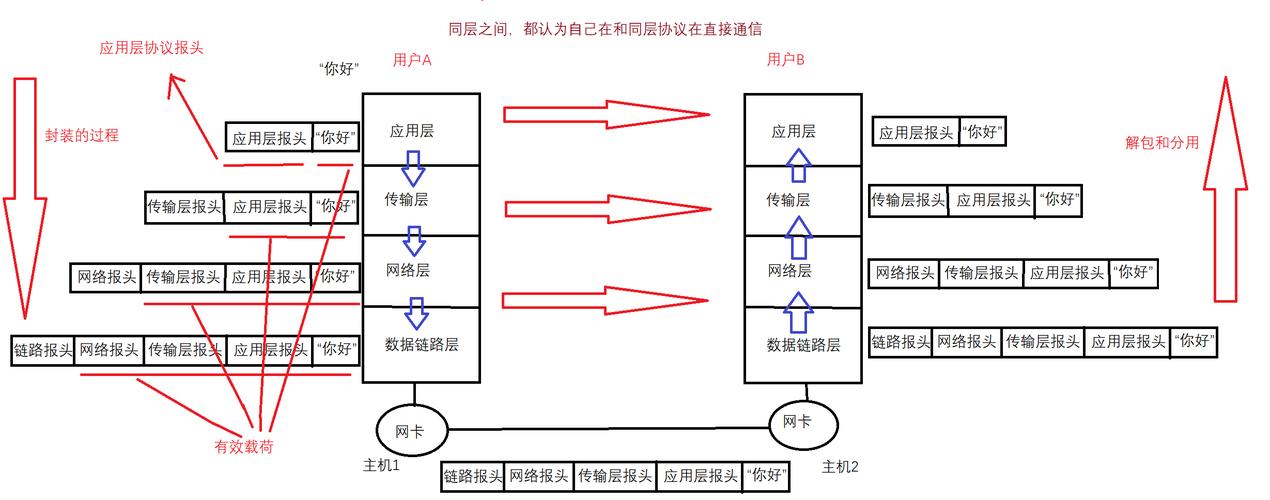 网络层的困境,分析域名封堵的原因与应对策略