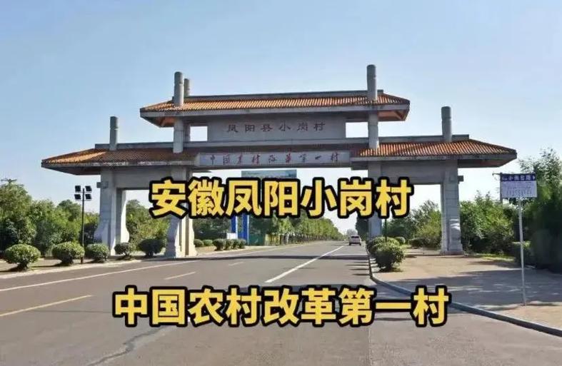 凤尾村这座小村庄，正经历一场突如其来的疫情。作为家乡的一部分，这里的生活秩序和农业生产都受到了一定影响。近期，随着疫情的蔓延，凤尾村的疫情防控工作进入了一个新的阶段