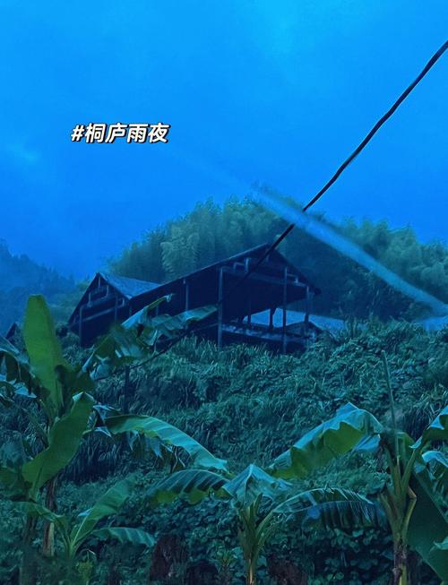 桐庐疫情雨夜街，你可能没想到的避雨小天地