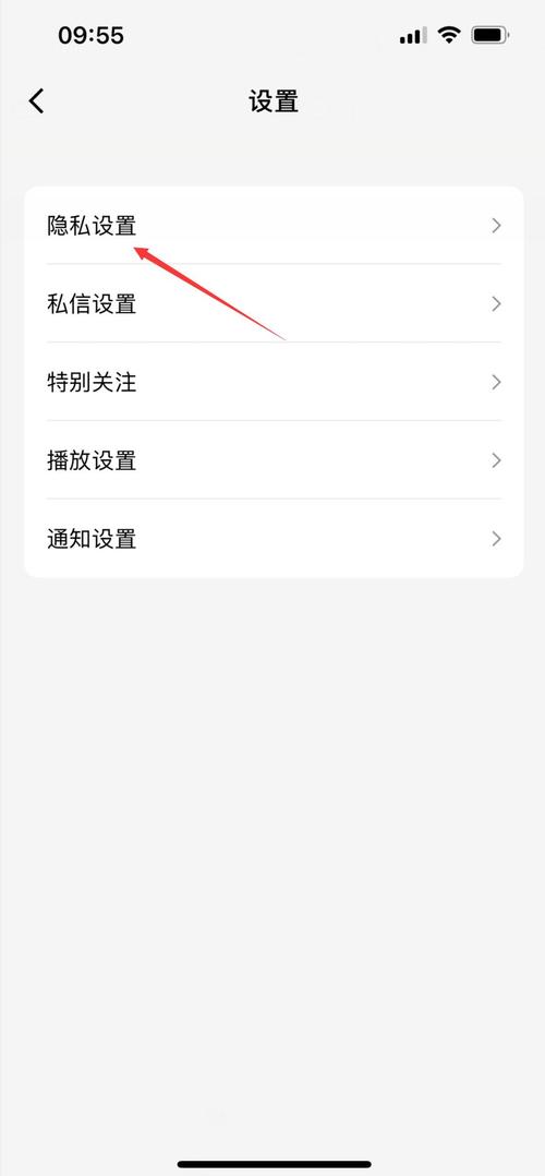 快手赞与QQ快手，高效用户管理的双核战略