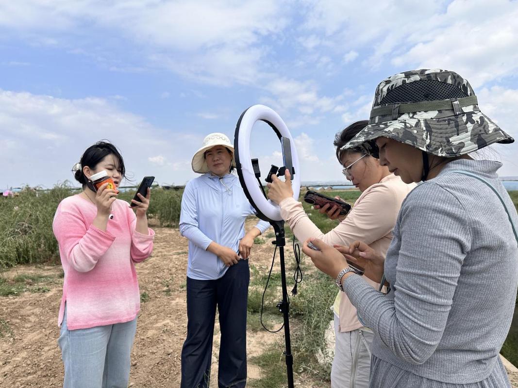 一元刷赞秒刷与抖音直播业务乐园,如何让直播带货更上一层楼
