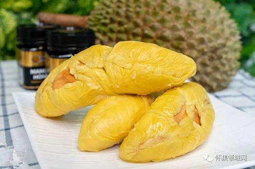 怀集榴莲疫情，品质与供应链的交响乐