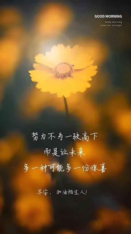 点赞自由，让情感连接更真实