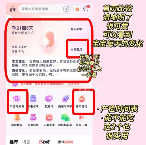 快乐孕期电脑版推荐，选择健康守护者的最佳选择