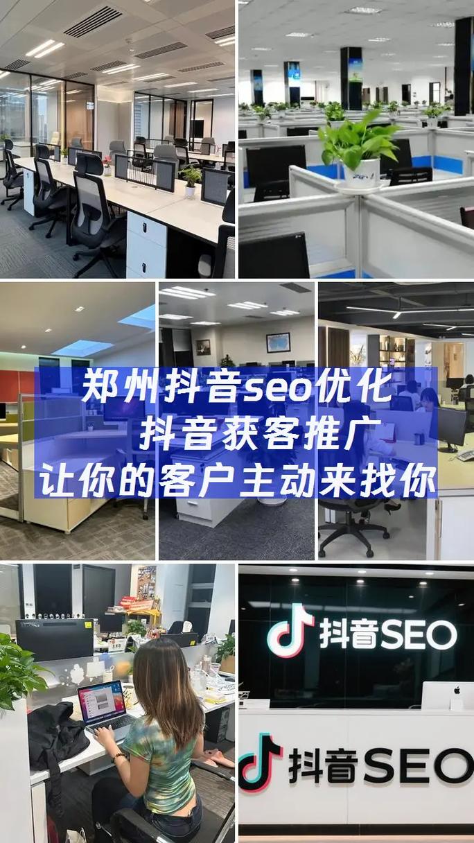 郑州网络优化有限公司，助力您的 SEO 网站