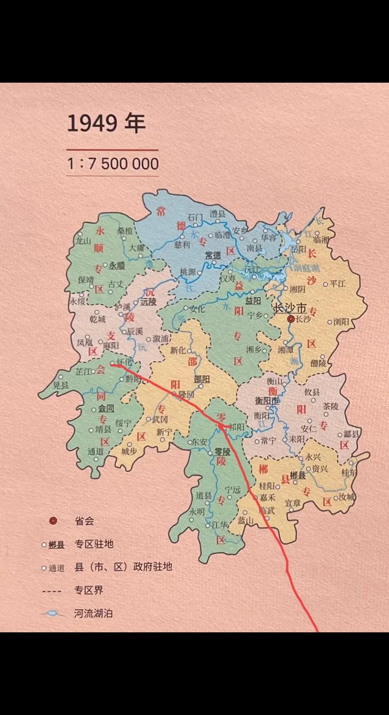 新田嘉禾疫情最新消息，疫情防控指南与应对策略
