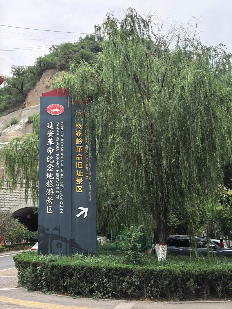延安疫情,杨家岭最新动态探秘
