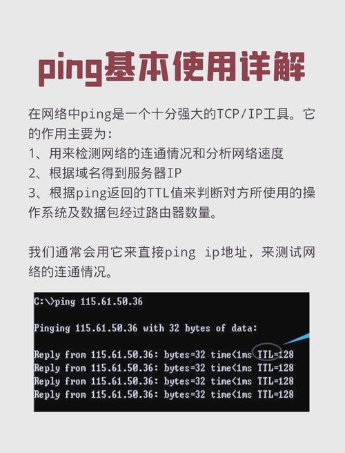 平凉网络推广是如何做到的？