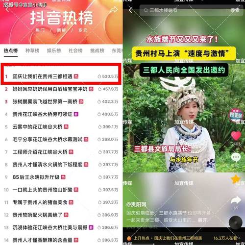 抖音刷赞平台,价格低、操作便捷,适合所有自由职业者