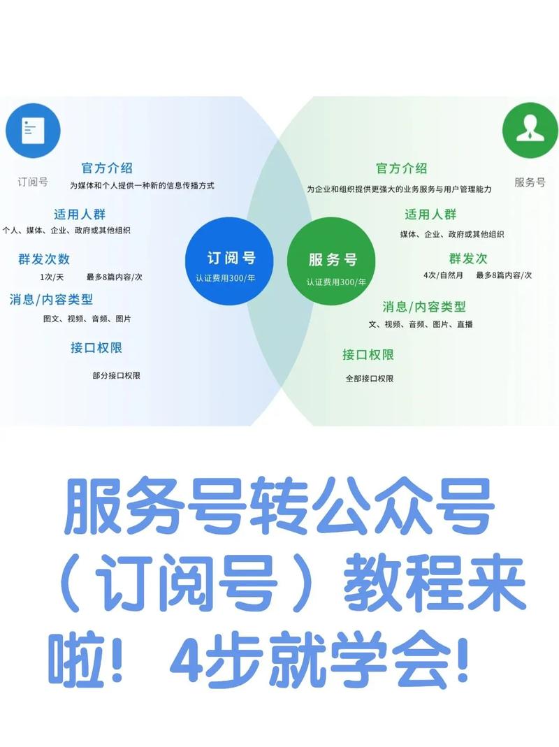 如何在抖音上实现业务接单，从选择账号到建立账号的完整指南