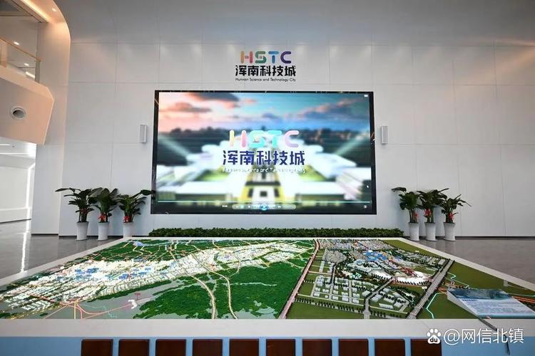 沈阳网络公司,数字时代的新机遇