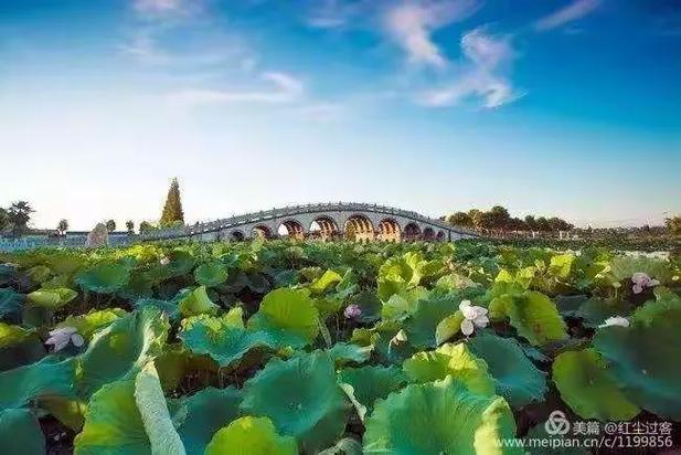 仙桃趣味网络有限公司,衰老即健康,从零开始的仙桃之旅