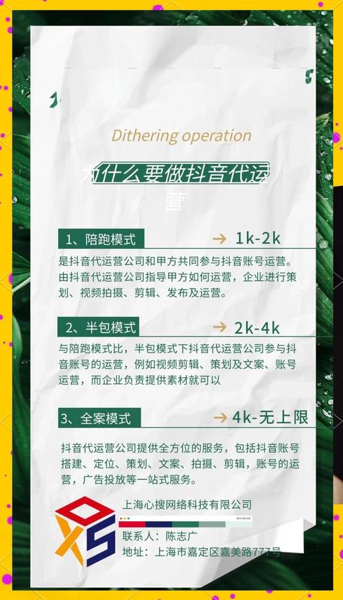 一、抖音代刷平台的优势