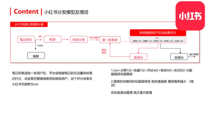 如何通过小红薯推广，从目标人群到曝光