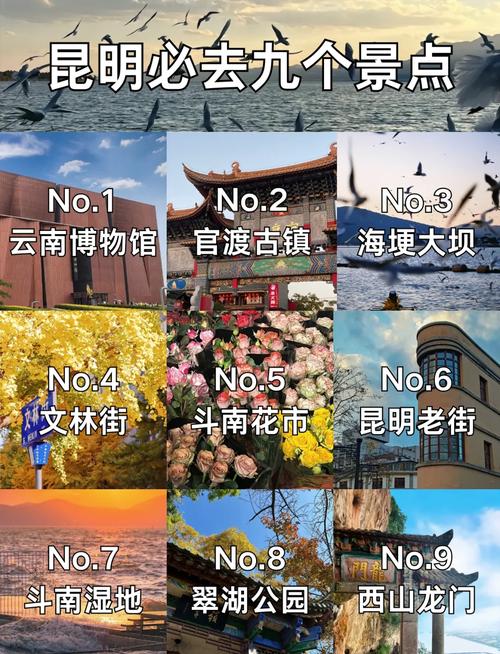 让昆明成为游客的热门打卡地，昆明景区现代化建设指南