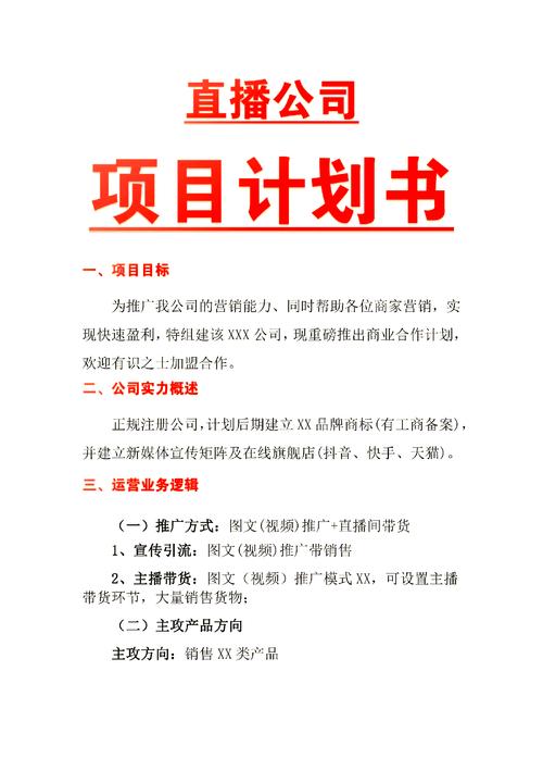 如何撰写一份专业且成功的网络公司计划书？指南与案例分析