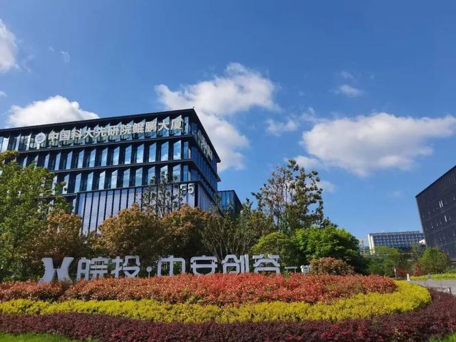 合肥科技网络公司，互联网行业中的领先者
